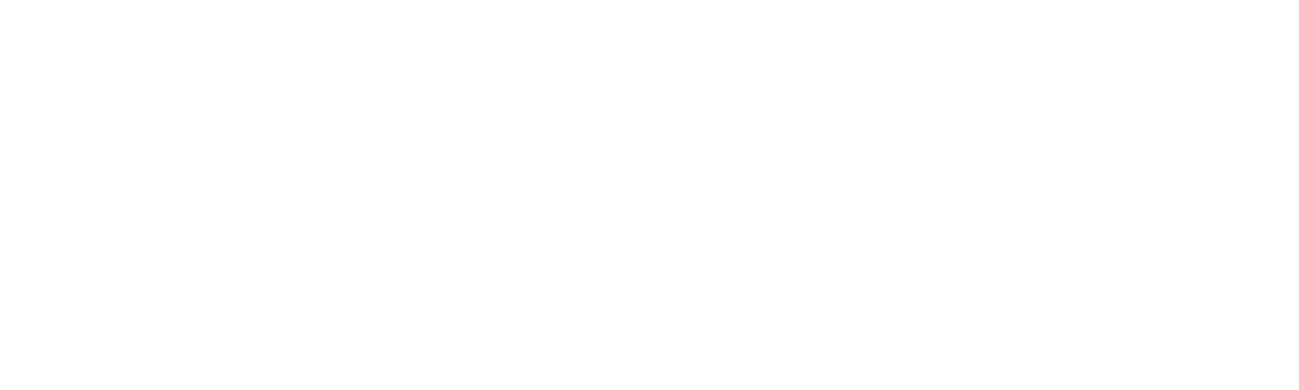 Madusha.N