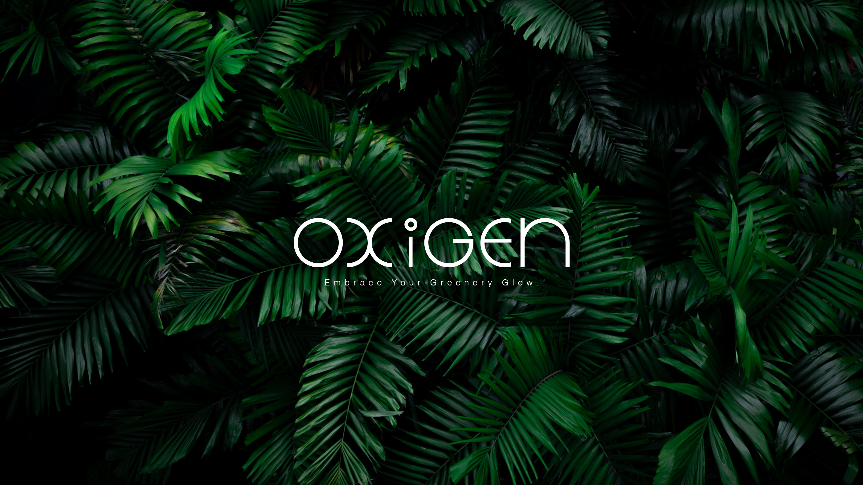 Oxigen